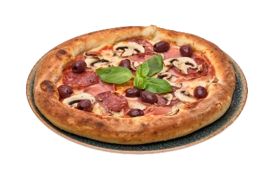 PIZZA QUATTRO STAGIONI - 500g